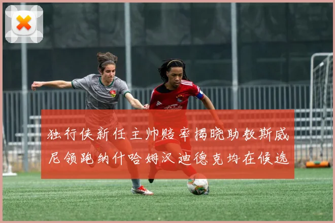 独行侠新任主帅赔率揭晓助教斯威尼领跑纳什哈姆汉迪德克均在候选之中